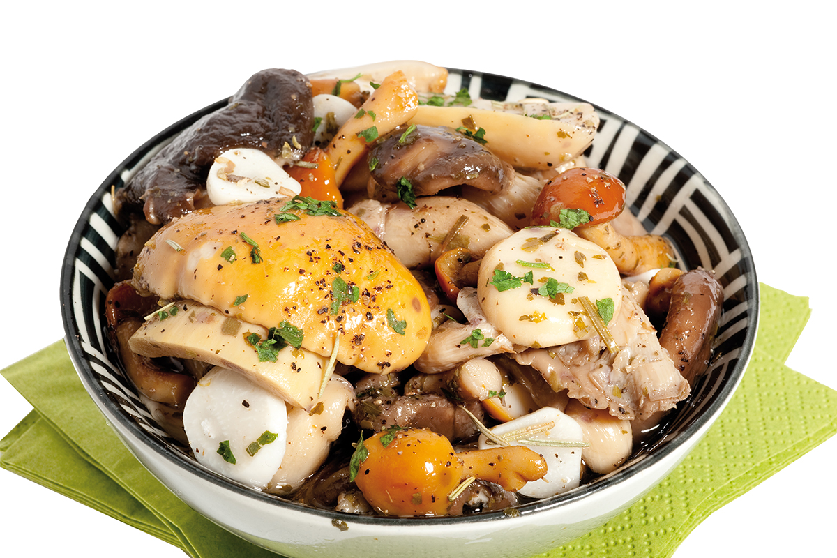 Mixed mushrooms with Porcini